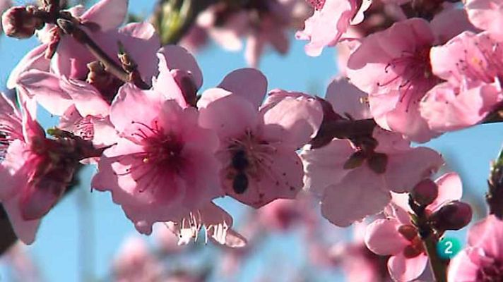 Agrosfera - Agrosfera - 08/03/14