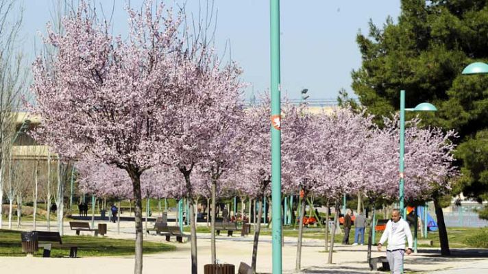 El tiempo - Suben las temperaturas y sigue el fuerte viento en el Estrecho