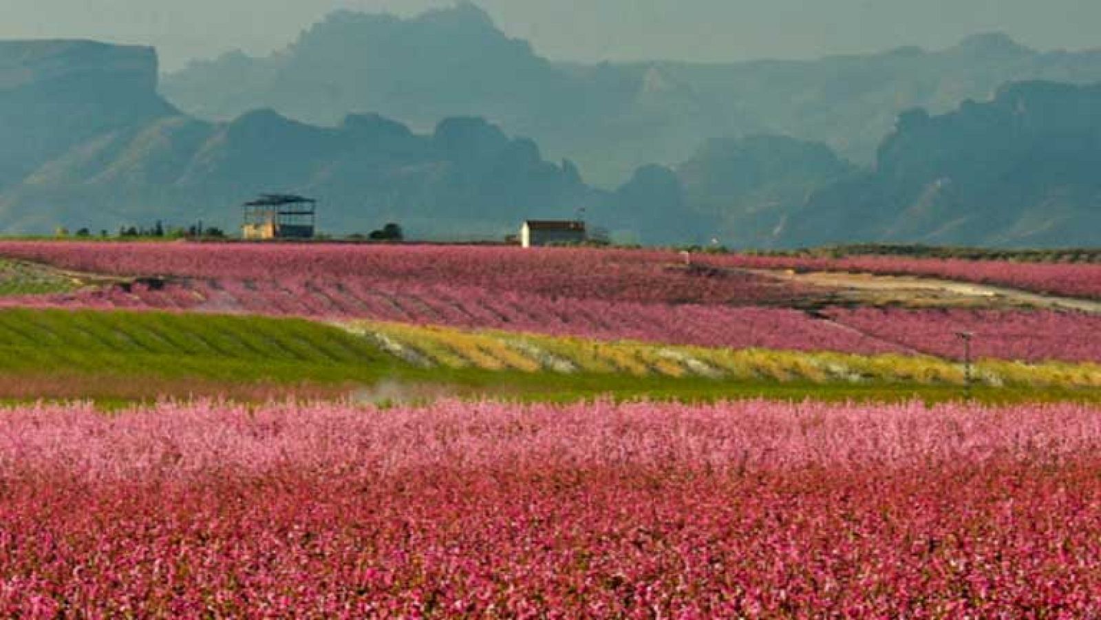Temperaturas en ligero descenso en la mayor parte del país