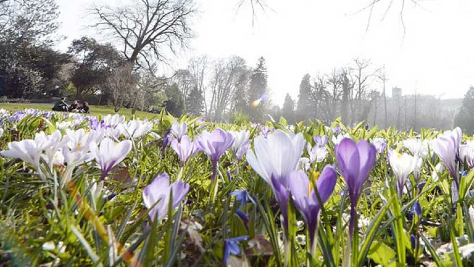 Mañana, viento muy fuerte en El Estrecho y chubascos en Canarias