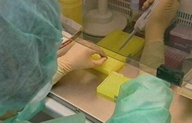 Ciencia y tecnología en Rtve.es - La selección genética, una realidad