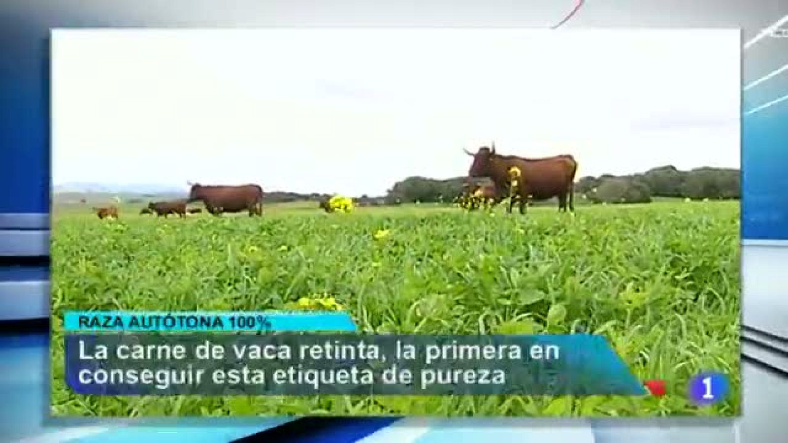 ANDALUCIA EN 2' - 11/03/14 | Ver