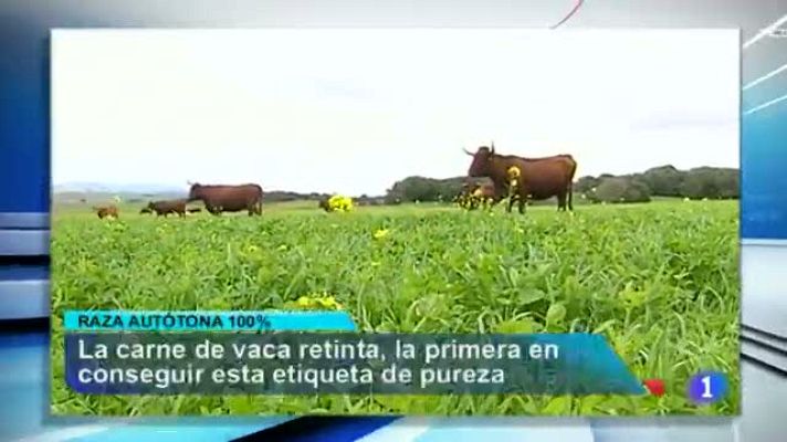 Noticias Andalucía - ANDALUCIA EN 2' - 11/03/14