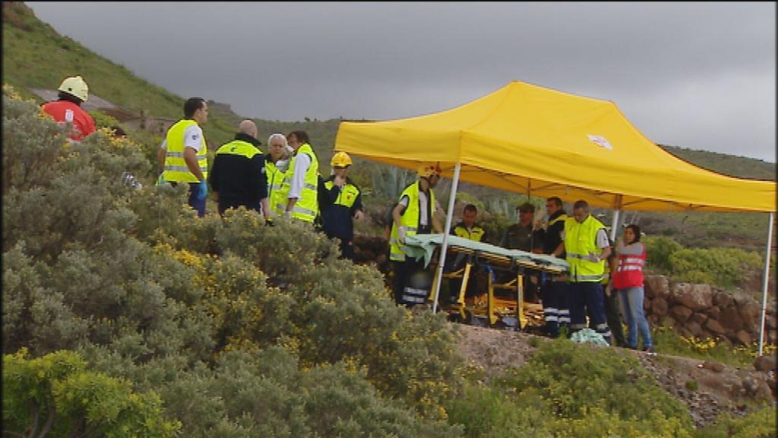 Telecanarias - 11/03/14 | Ver