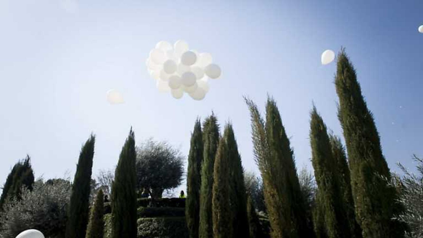 La 2 Noticias - 11/03/14 - ver ahora