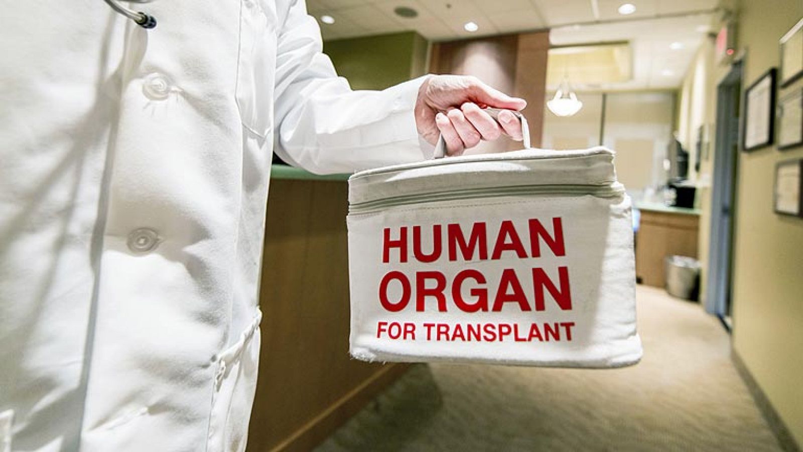 Cada año se realizan en el mundo unos 10.000 trasplantes procedentes del tráfico del órganos, según la OMS