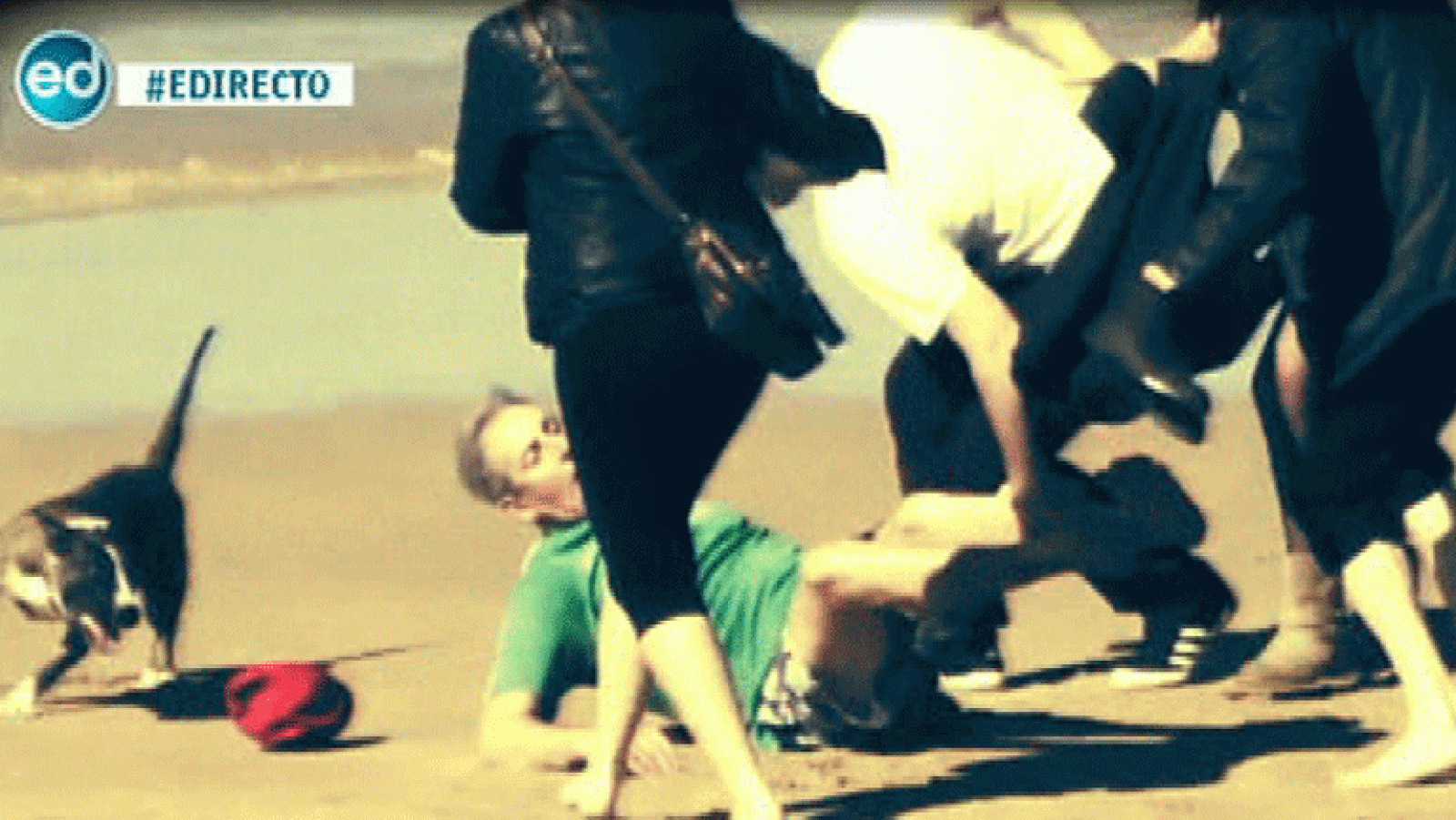 España Directo-Un perro ataca a unos paseantes en la playa de La Concha