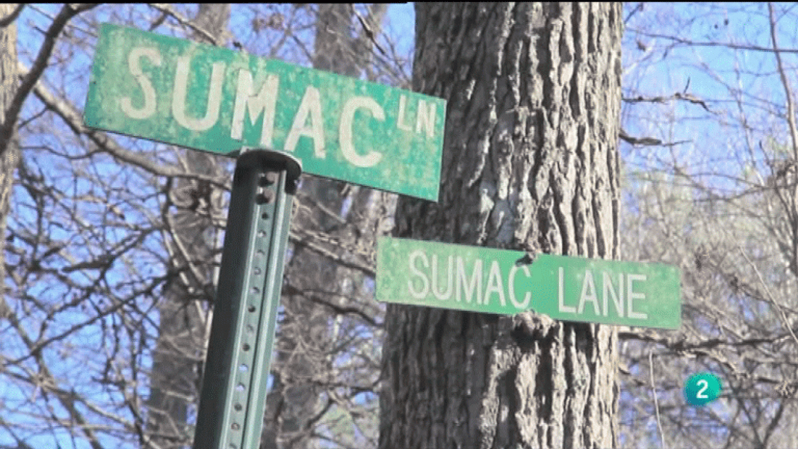 La Aventura del Saber. Miquel Silvestre. Big Bend