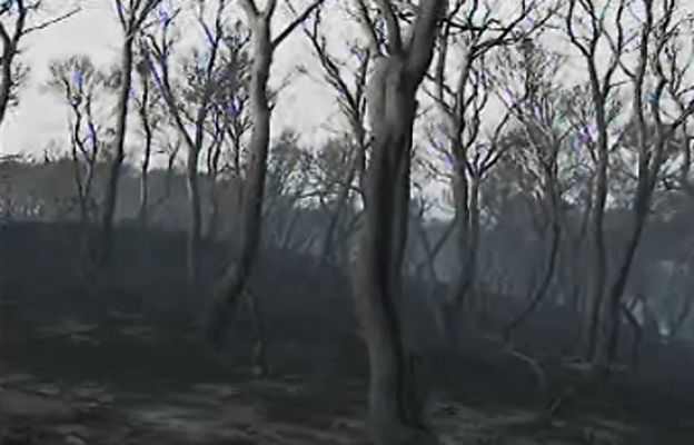  - Incendio de Zaragoza