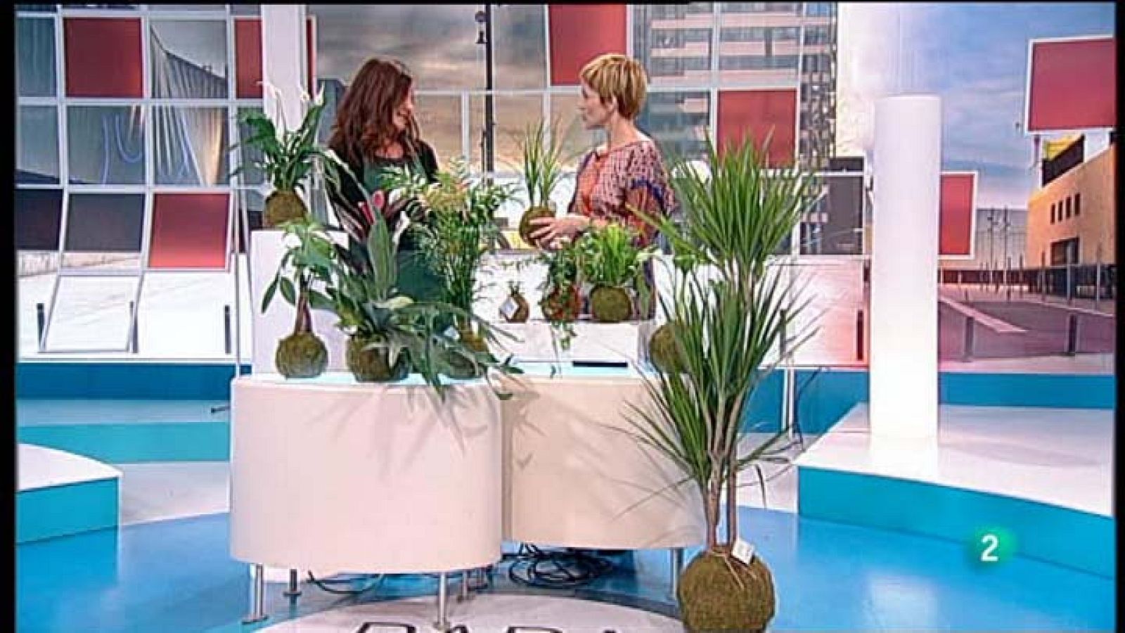 Para Todos La 2 -  Entrevista Belén Delpero