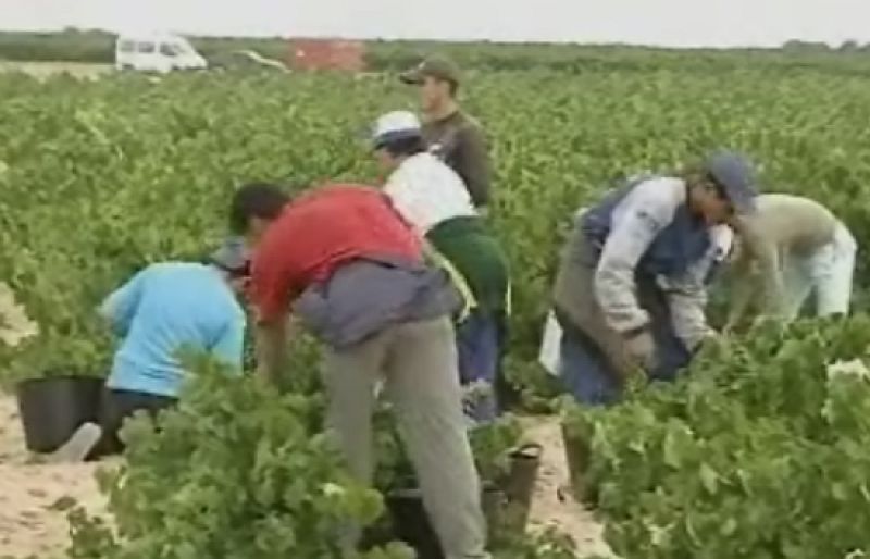 Más de dos millones de inmigrantes están afiliados a la Seguridad Social | Ver