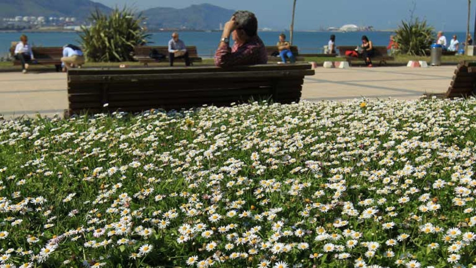 Lluvias débiles en el Cantábrico oriental y viento fuerte en el noreste