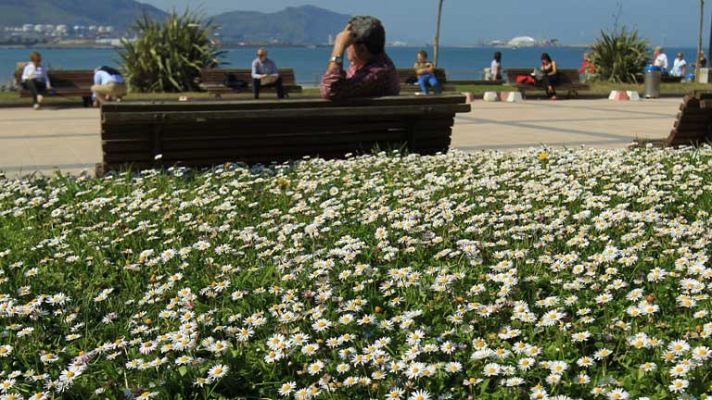 El tiempo - Lluvias débiles en el Cantábrico oriental y viento fuerte en el noreste