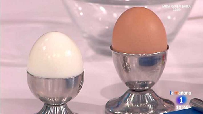 La mañana - Atención a las bacterias