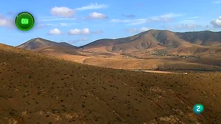 Agrosfera - Sur de Fuerteventura