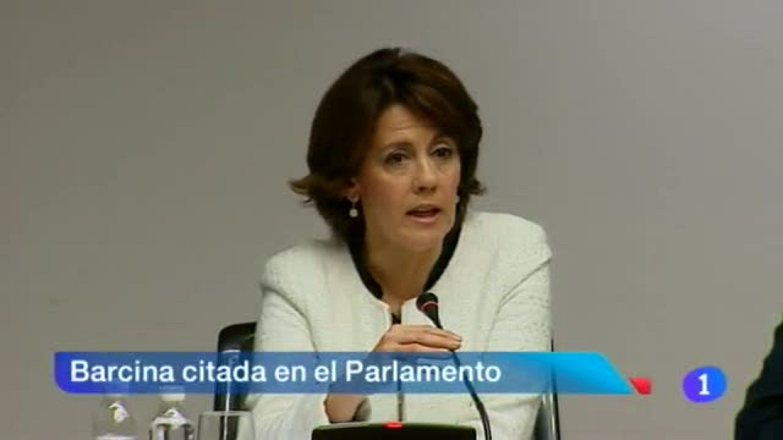 Telenavarra en 2' - 17/03/2014 | Ver