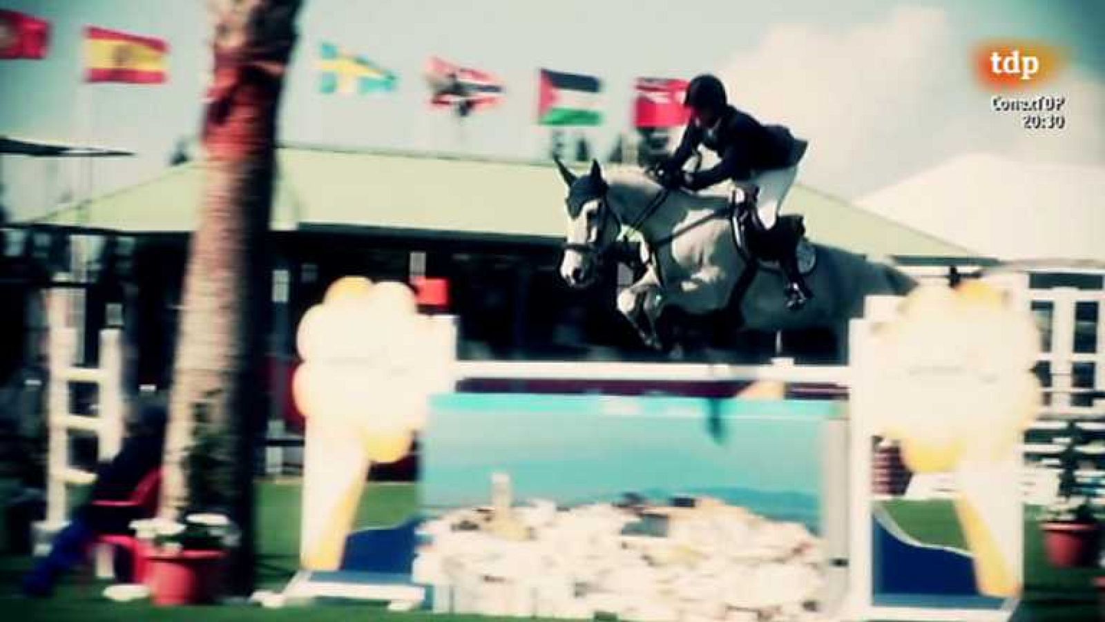 Hípica - CSI Invitational. Circuito Hípico del Sol. Desde Vejer de laFrontera (Cádiz) - ver ahora