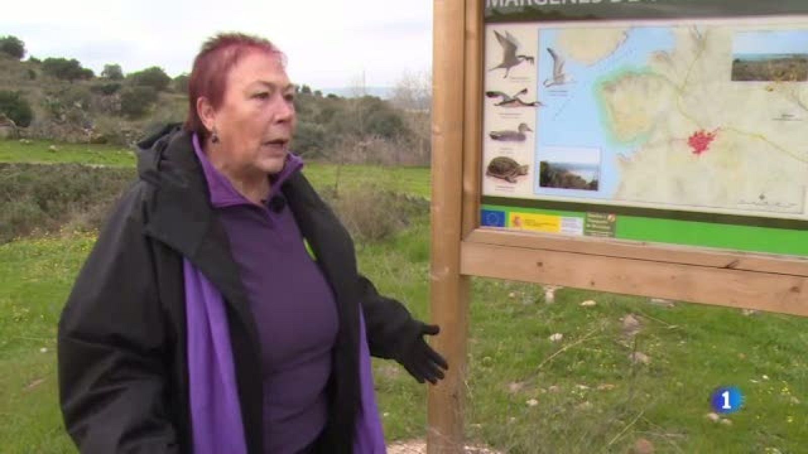 Repor  - ¿Qué hacemos con la finca? - Declaración de Paca Blanco