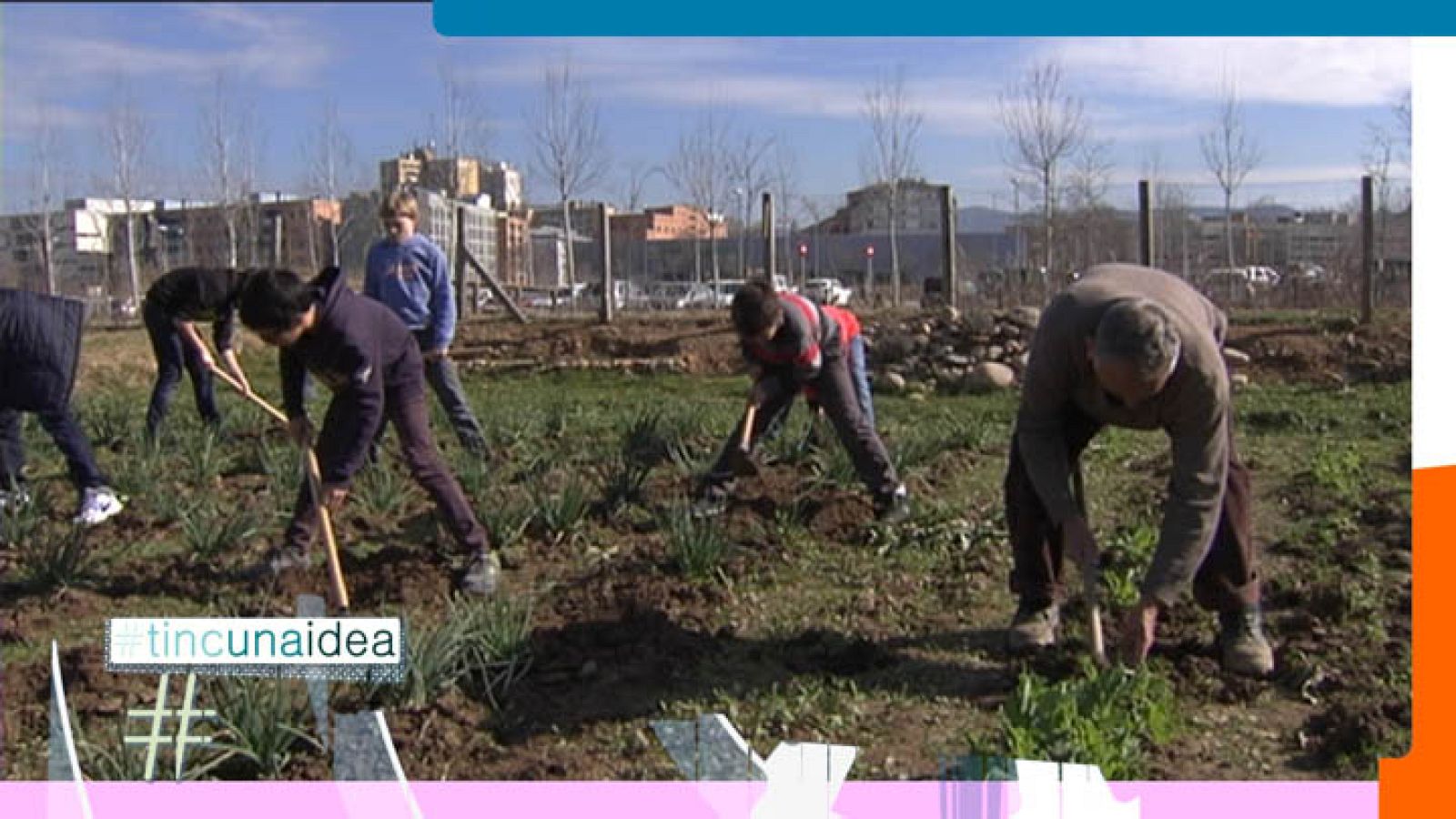 Tinc una idea - Projectes - Educar amb projectes