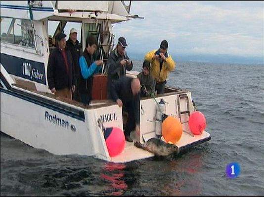 Panorama Regional - Panorama Regional - 19/03/14