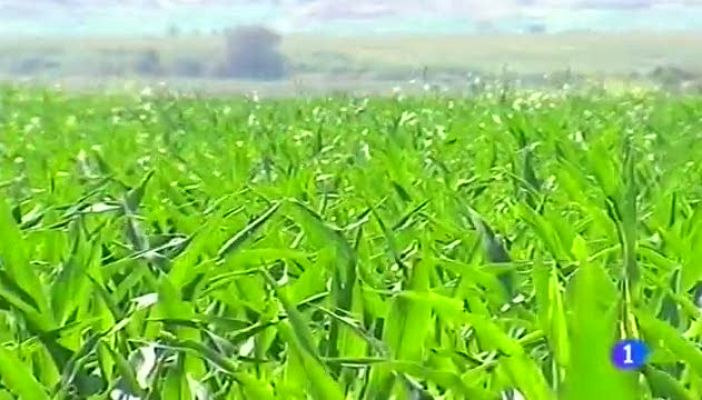 Noticias Aragón - Noticias Aragón 2 - 20/03/14