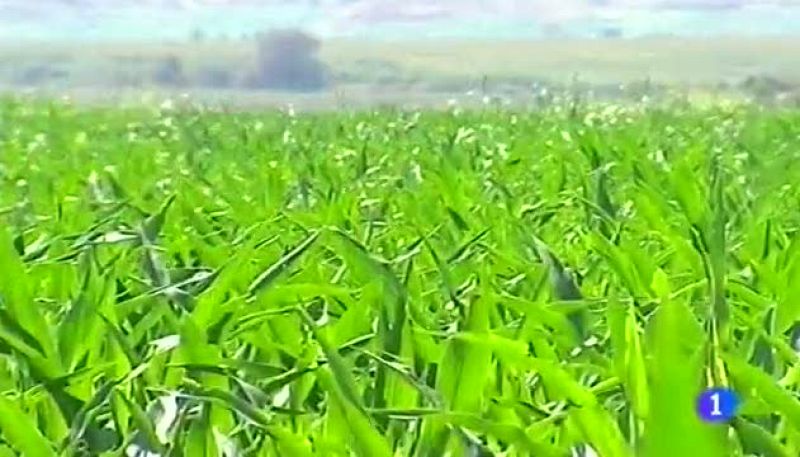 Noticias Aragón 2 - 20/03/14 | Ver