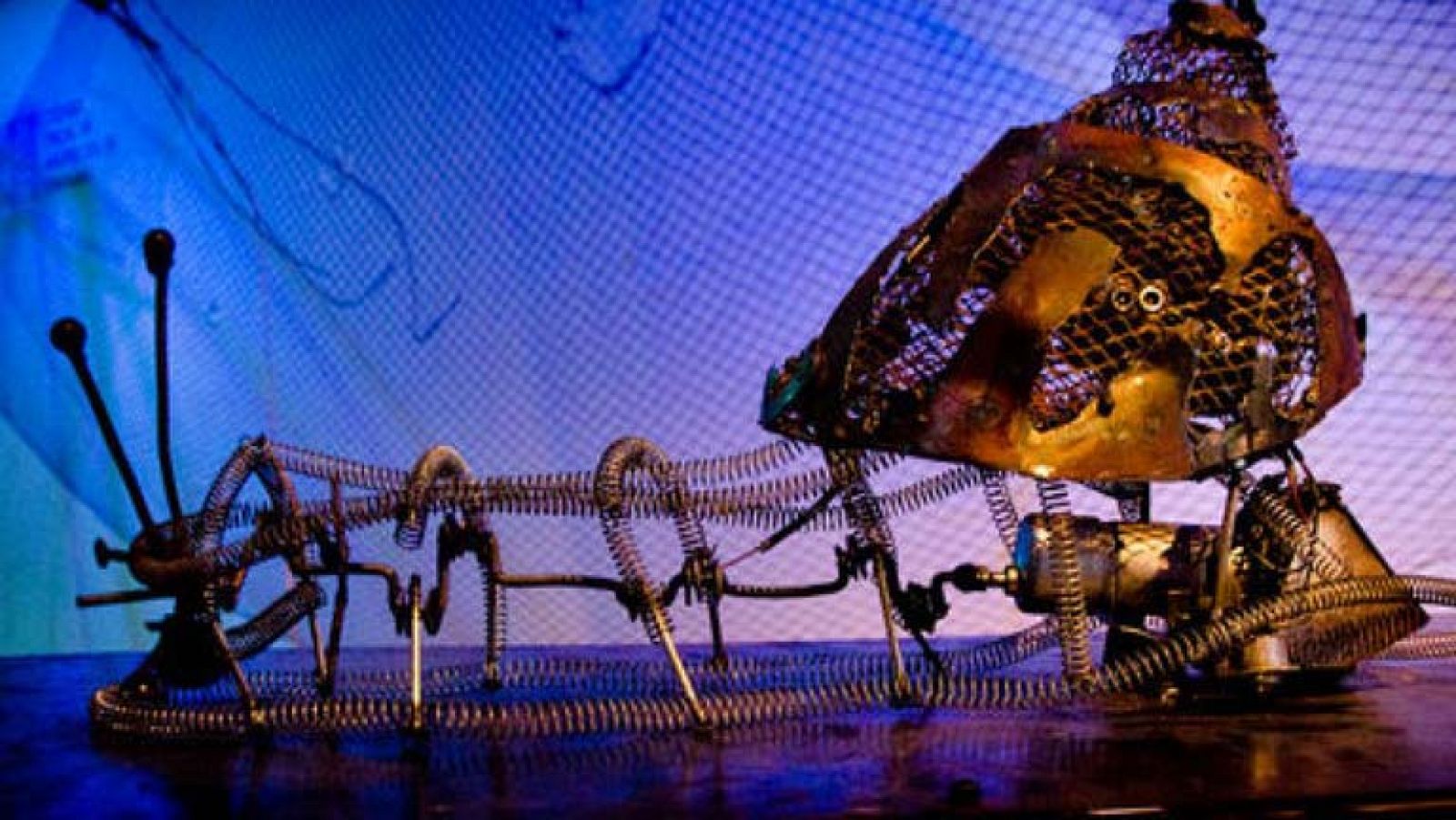 'Vida acuática', una exposición que te sumerge en el mundo submarino - La 2 Noticias | Ver