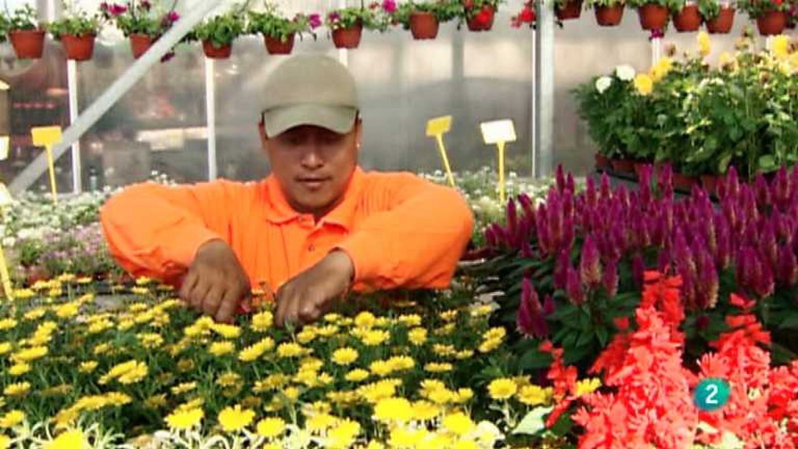 Aquí hay trabajo - 21/03/14 - Ver ahora