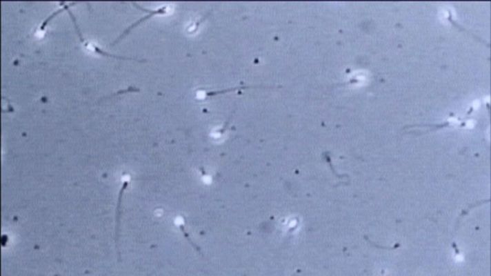 La noche temática - La Noche Temática - Avance: 'Hombres en peligro"