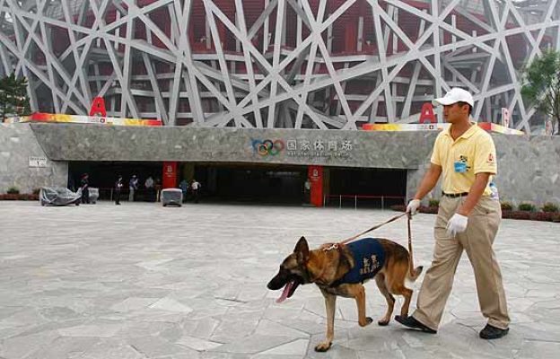  - Obsesión por la seguridad