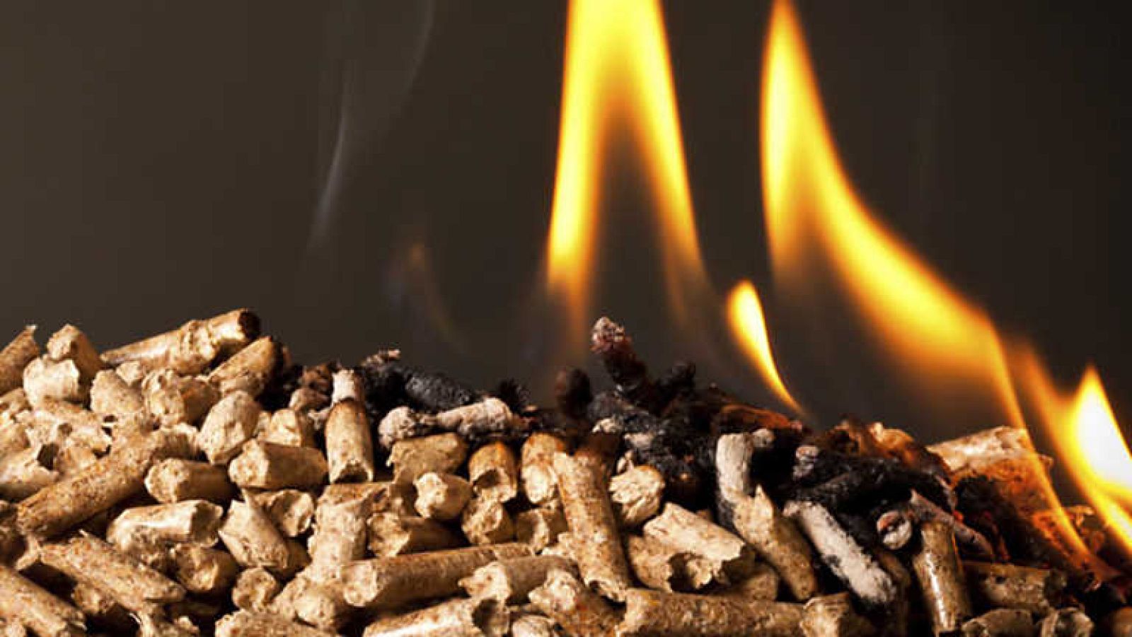 El escarabajo verde - Más madera - ver ahora