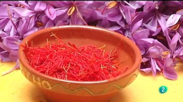 Agrosfera - Agrosfera - 22/03/14