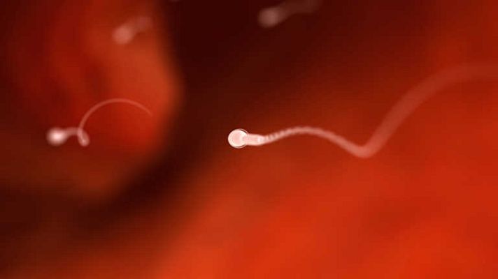 La noche temática - Hombres en peligro