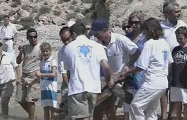  - Suelta de tortugas en Cabrera