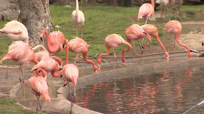 Informativo de Madrid - Informativo de Madrid 2 - 25/03/14