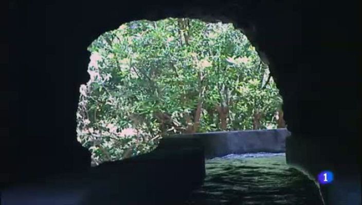 Aulaga. Senderos del Atlántico - Nacientes de Marcos y Cordero - La Palma