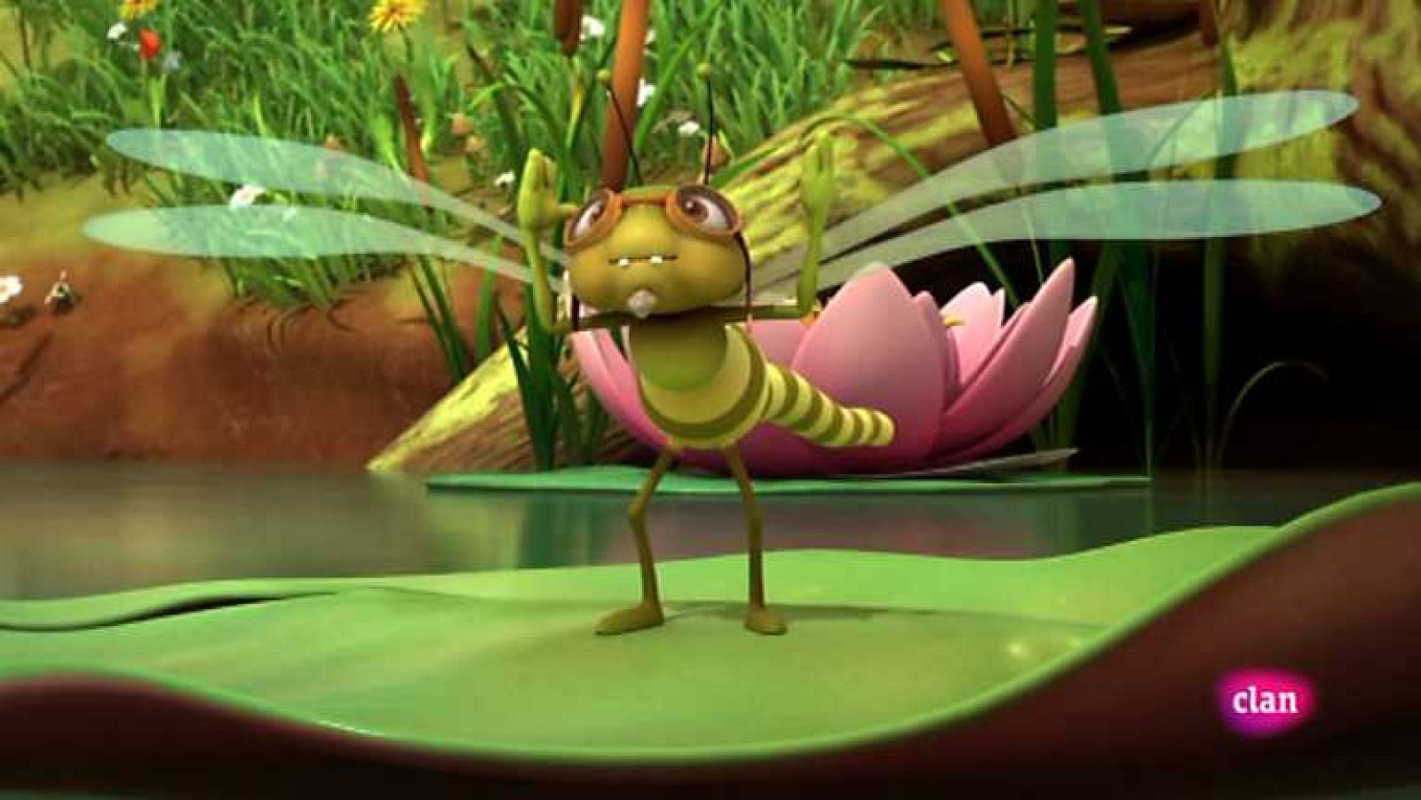 Las alas del campeón - Maya | Ver