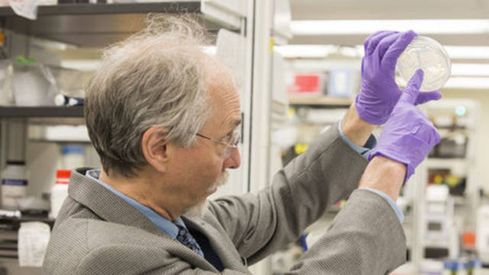 Fabrican por primera vez un cromosoma sintético de una célula compleja