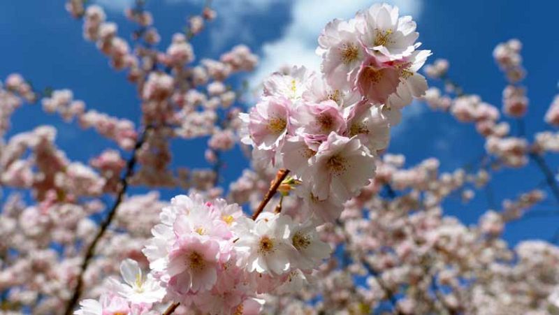 Temperaturas en ascenso en la mayor parte de la península y Baleares