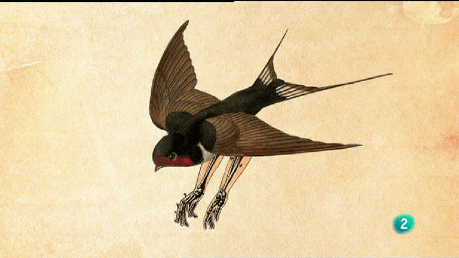 La Aventura del Saber. Boek Visual. Sr. García