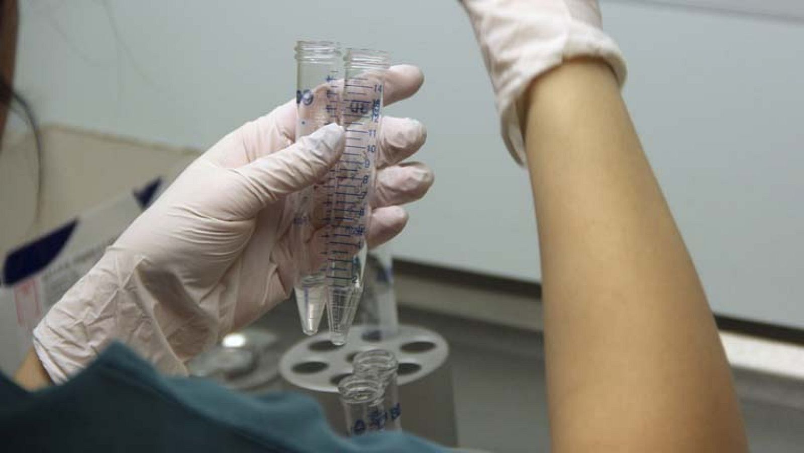 Los científicos empiezan por el hongo de la levadura para crear vida artificial