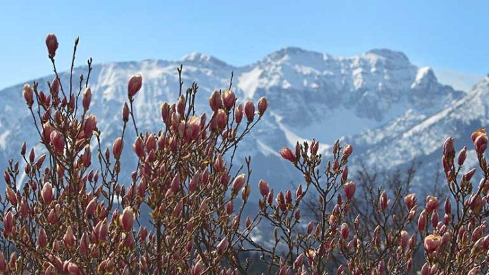 El tiempo - Viento fuerte en el cuadrante noreste