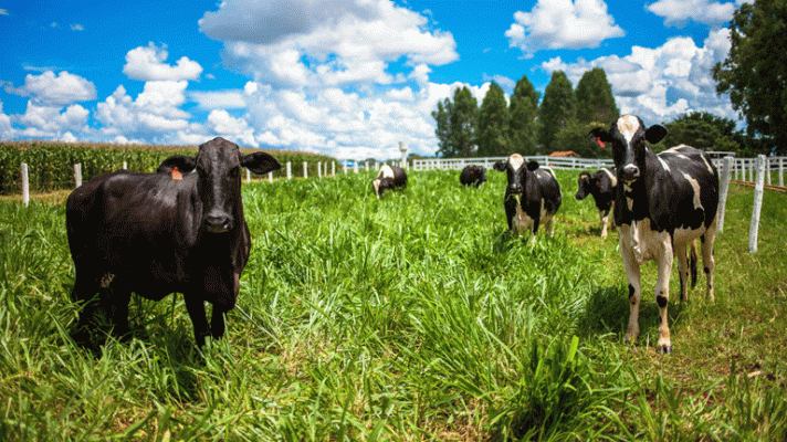 Telediario 1 - Cambio de hora