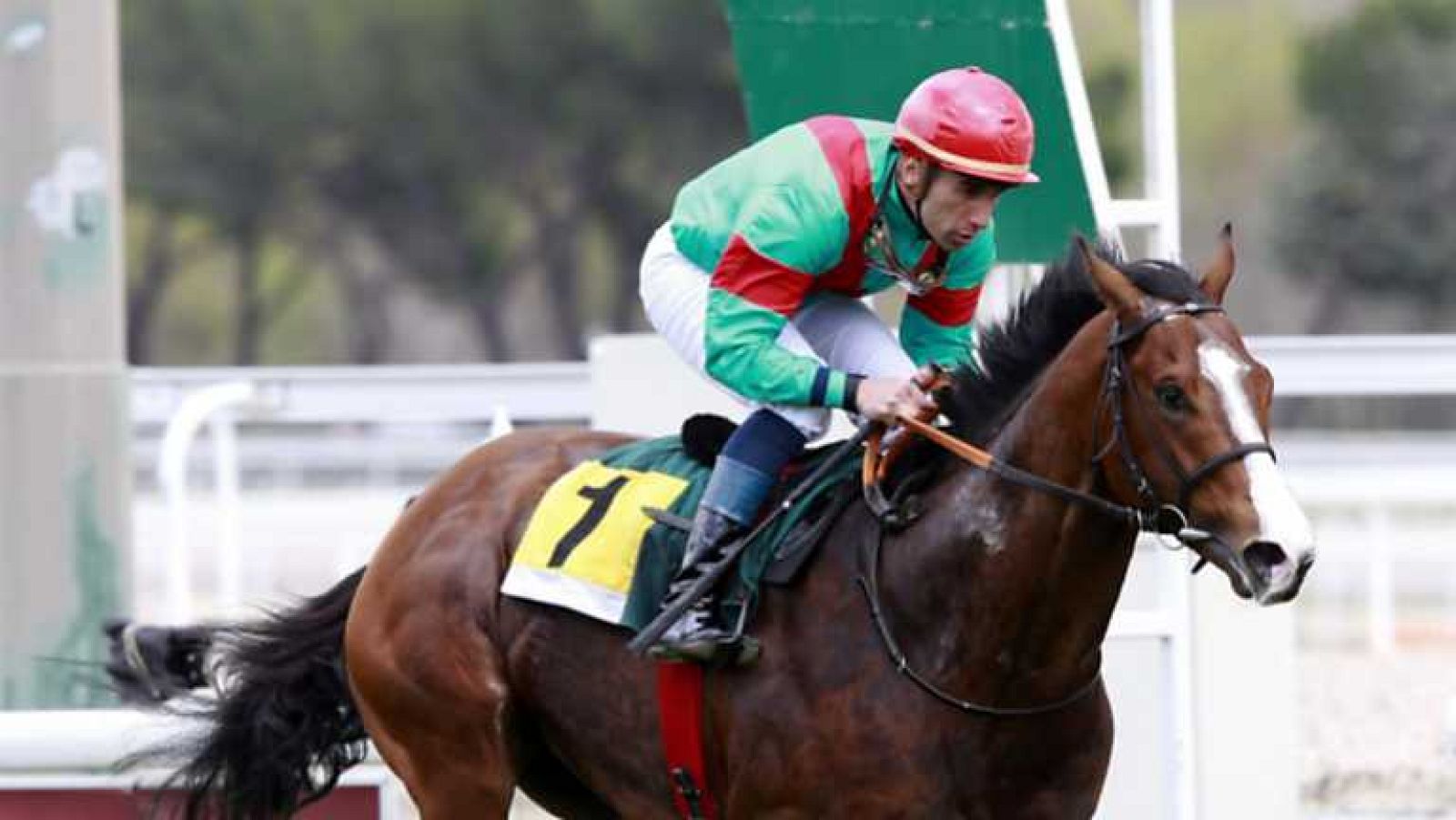 Turf - 30/03/14 - ver ahora