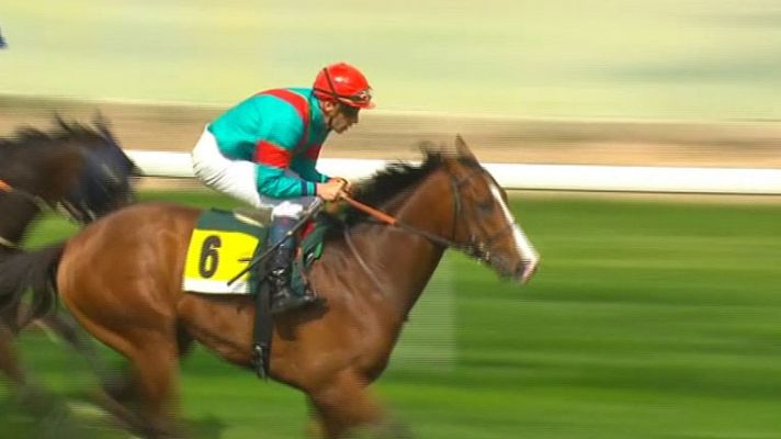 Telediario 1 - El caballo Noozoh Canarias