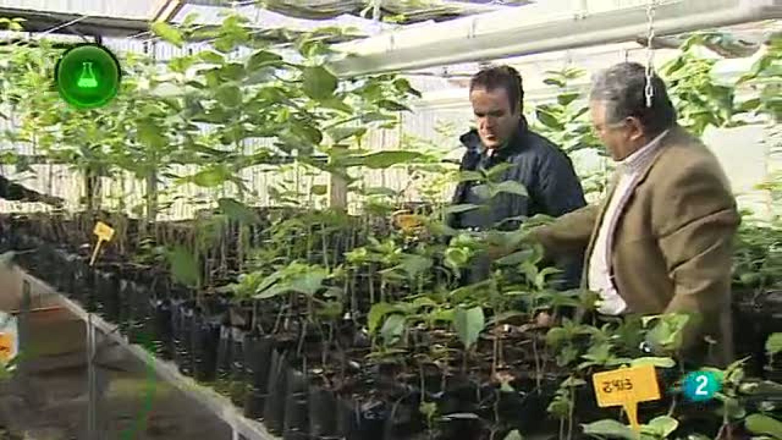 Agrosfera - Laboratorio de ideas - Cerezos