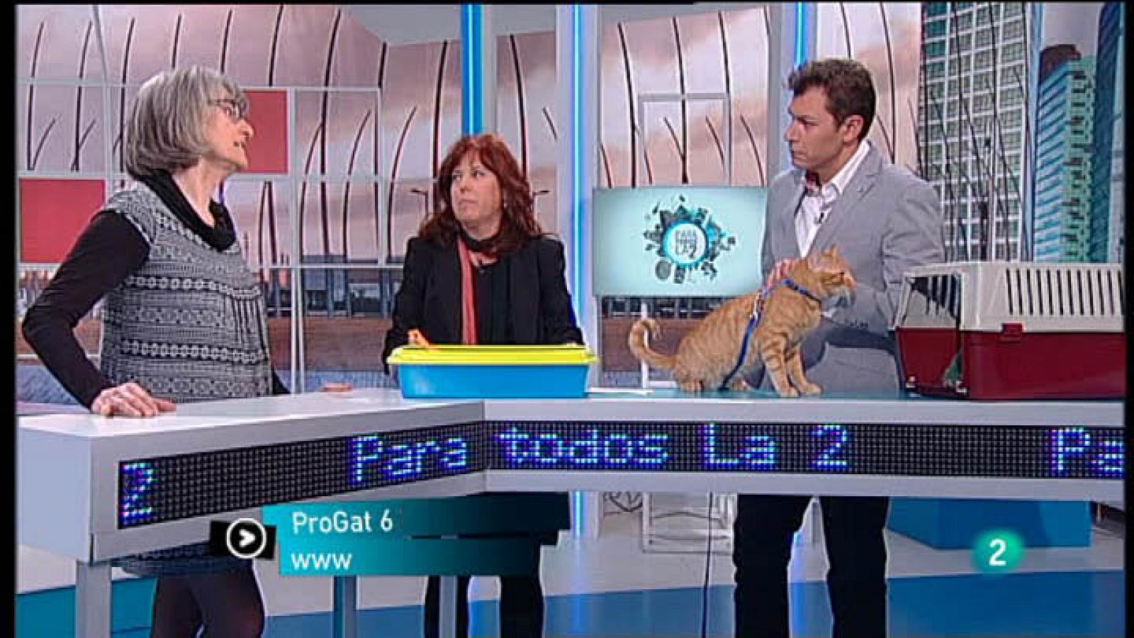 Para Todos La 2 - Animales domésticos - La arena del gato