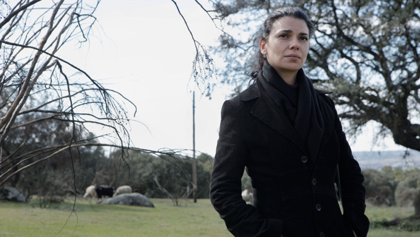 Cuéntame cómo pasó - Avance del capítulo 265 - "Malas noticias"