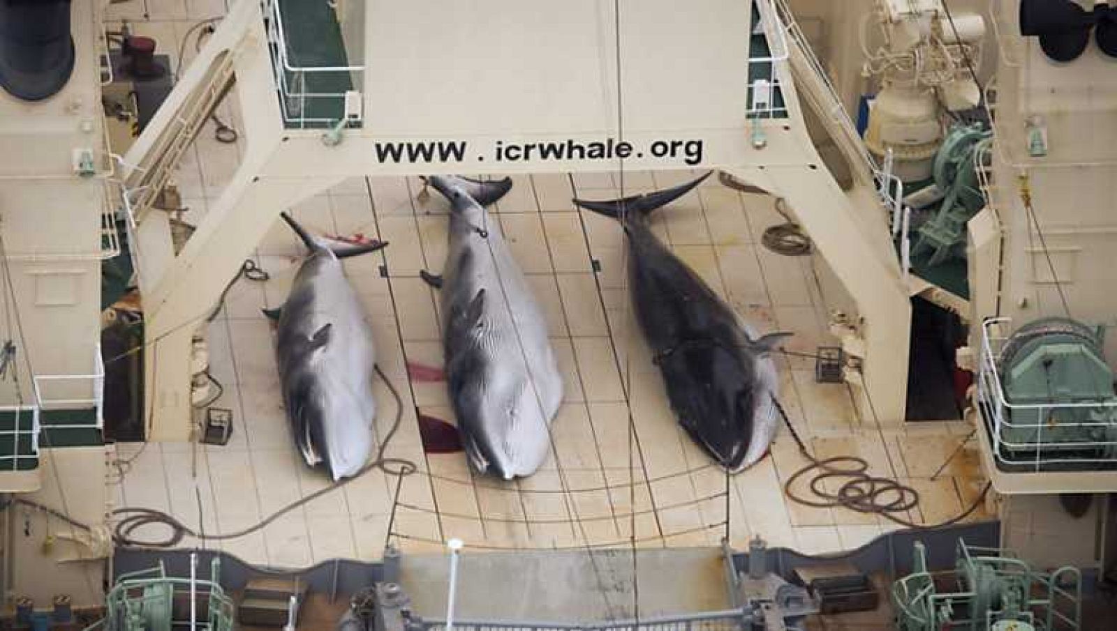 La 2 Noticias - 31/03/14 - ver ahora