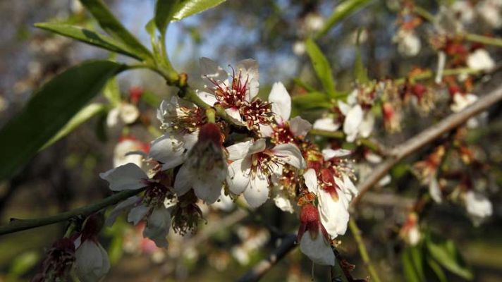 Informativo de Madrid - El tiempo en la Comunidad de Madrid - 01/04/14